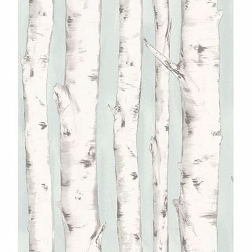 Pioneer Birch Tree