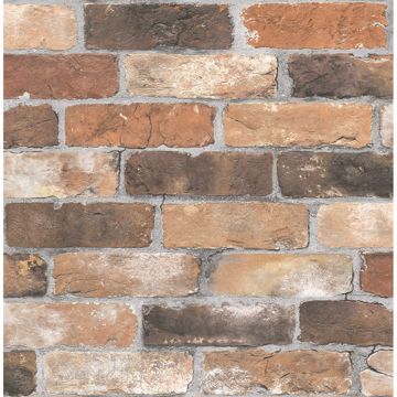 Reclaimed Bricks Rustic