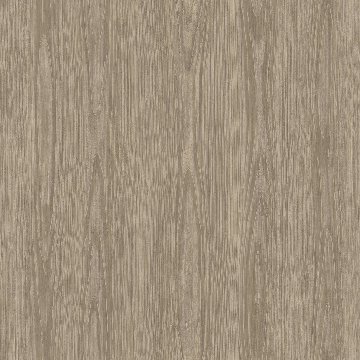 Tanice Faux Wood Texture