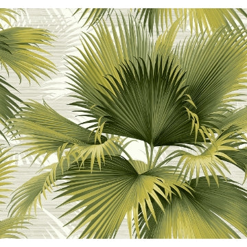 Summer Palm Tropical