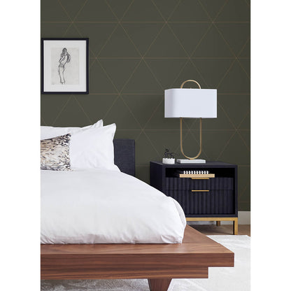 Twilight Geometric