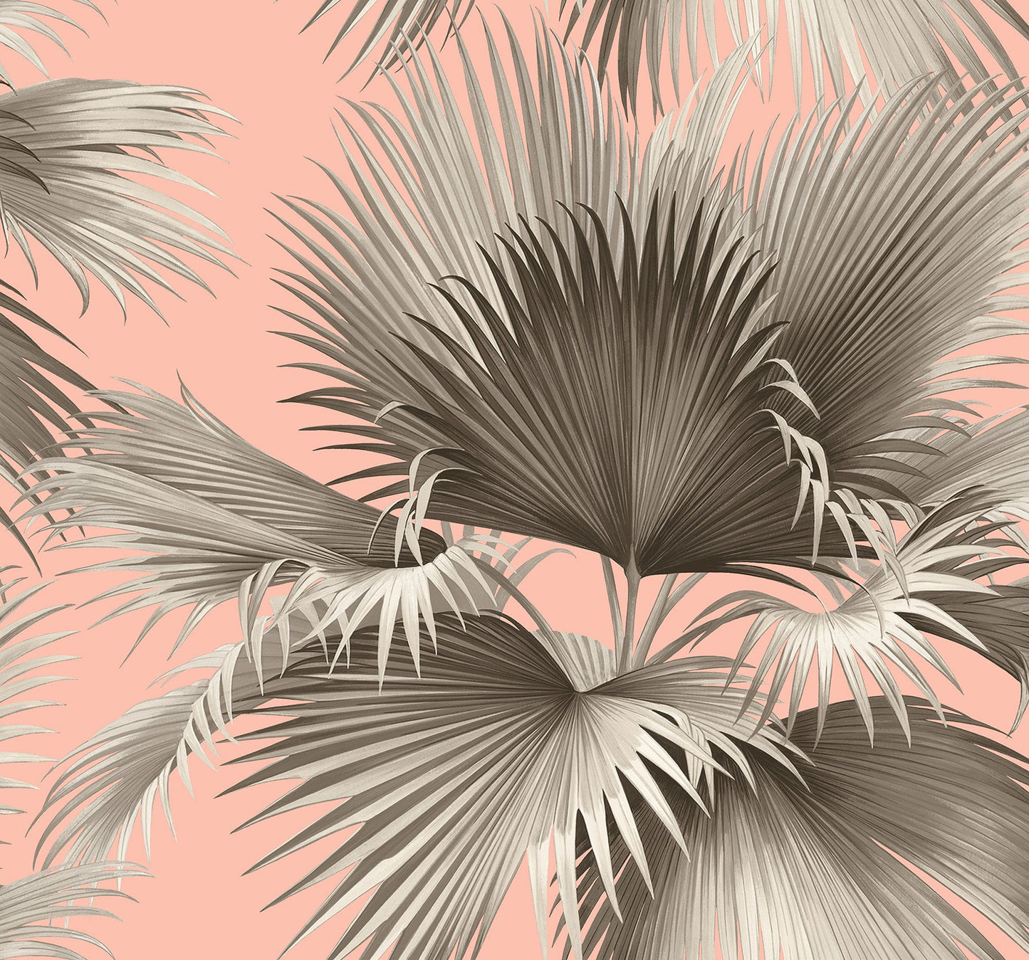 Summer Palm