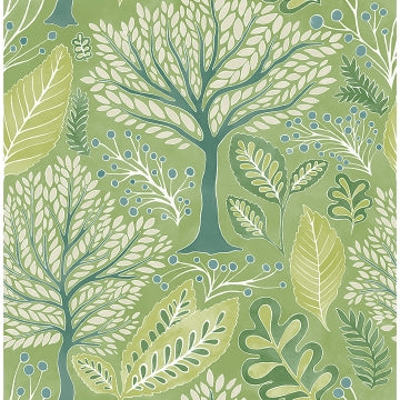 Kiah Forest