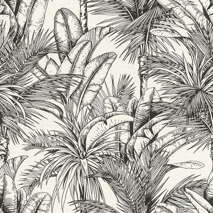 Serra Palm