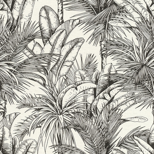 Serra Palm