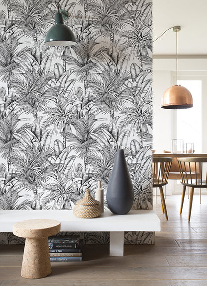 Serra Palm
