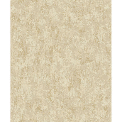 Haliya Champagne Metallic Plaster