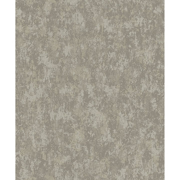 Haliya Champagne Metallic Plaster