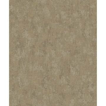 Haliya Champagne Metallic Plaster