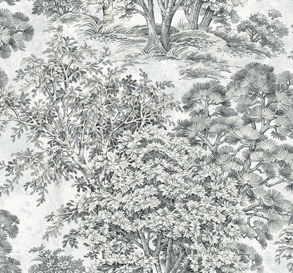Majestic Trees - Pencil