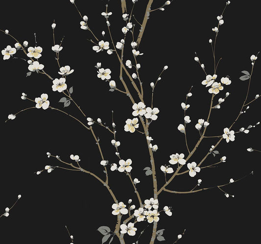 Cherry Branches - Ash