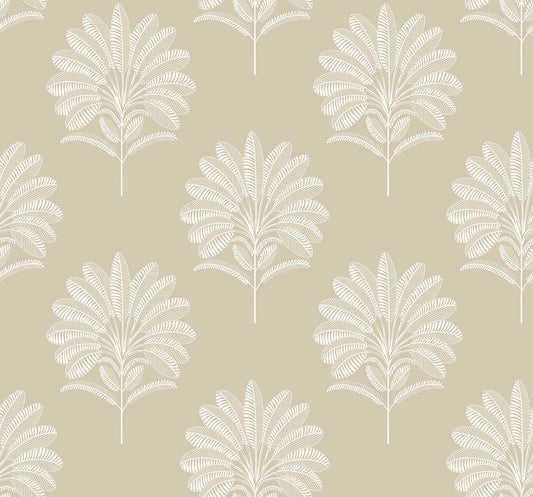 Mirage Palm