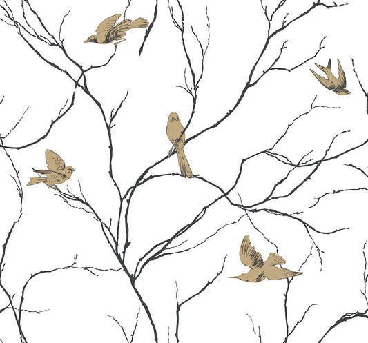 Dreamy Birds - Sky