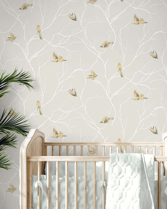 Dreamy Birds