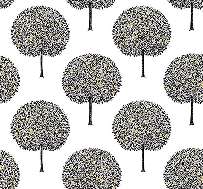 Fruit Trees - Contrasto