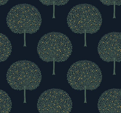 Fruit Trees - Contrasto