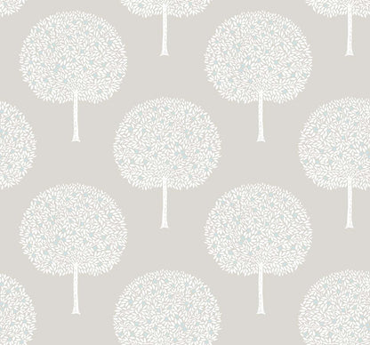 Fruit Trees - Contrasto