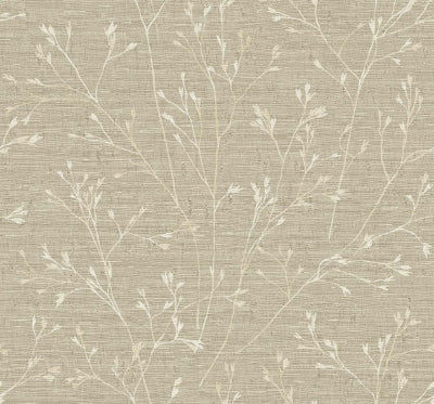 Withington Branch - Lace
