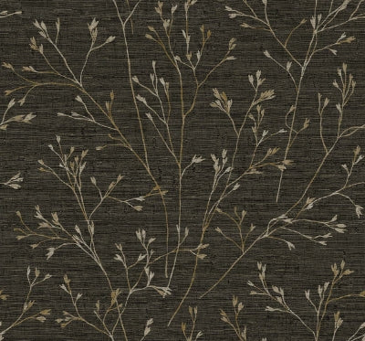 Withington Branch - Lace