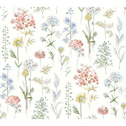 Bergamot Wildflower