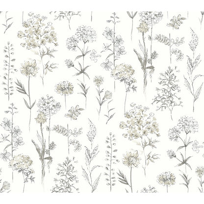 Bergamot Wildflower