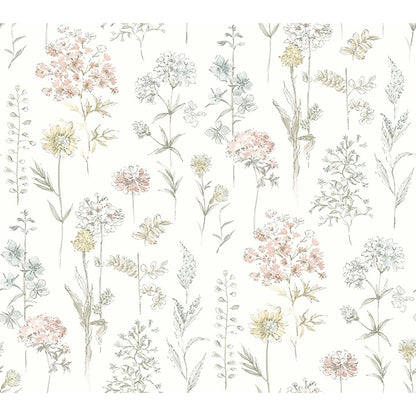 Bergamot Wildflower