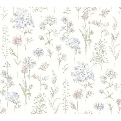 Bergamot Wildflower