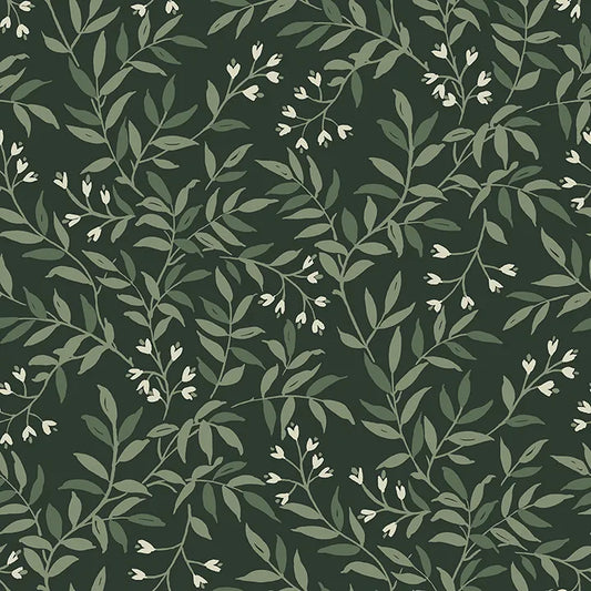 Senna Vines