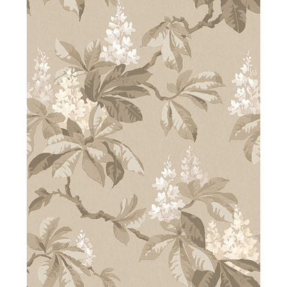 Chestnut  Floral