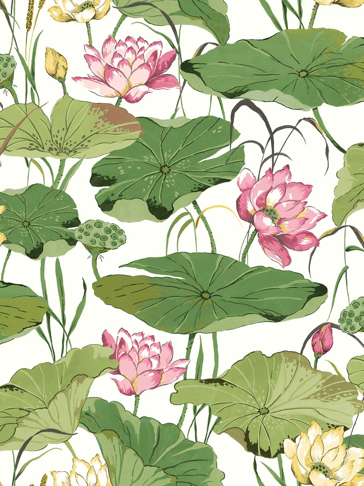 Lotus Flower