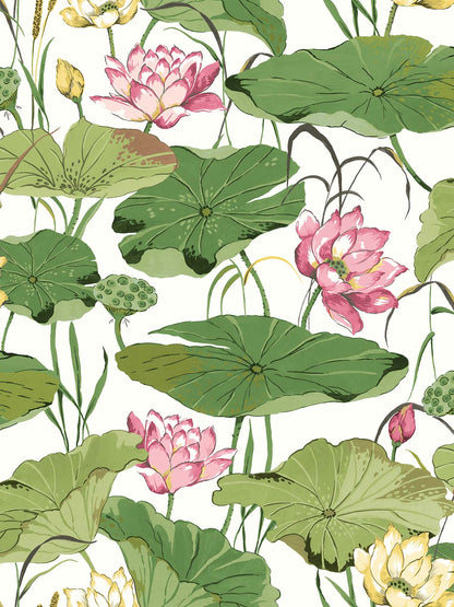 Lotus Flower