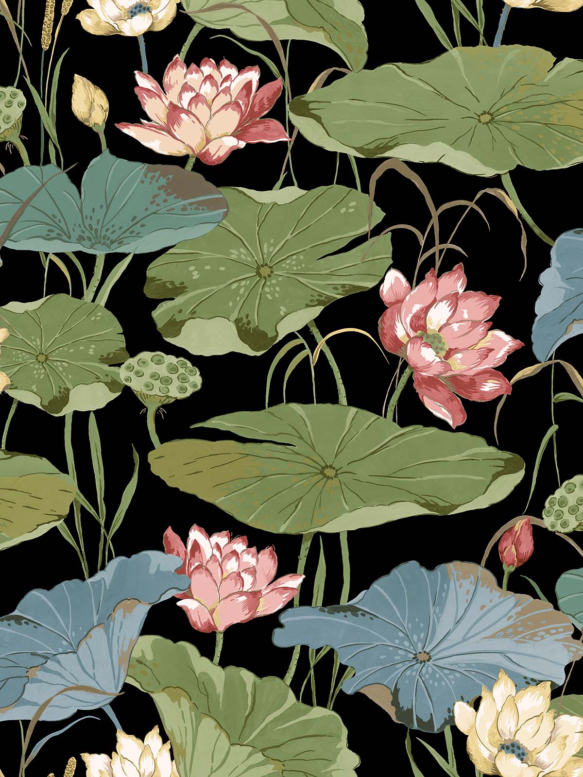 Lotus Flower