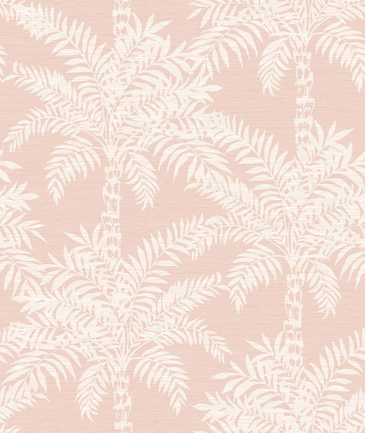 Beach Palms