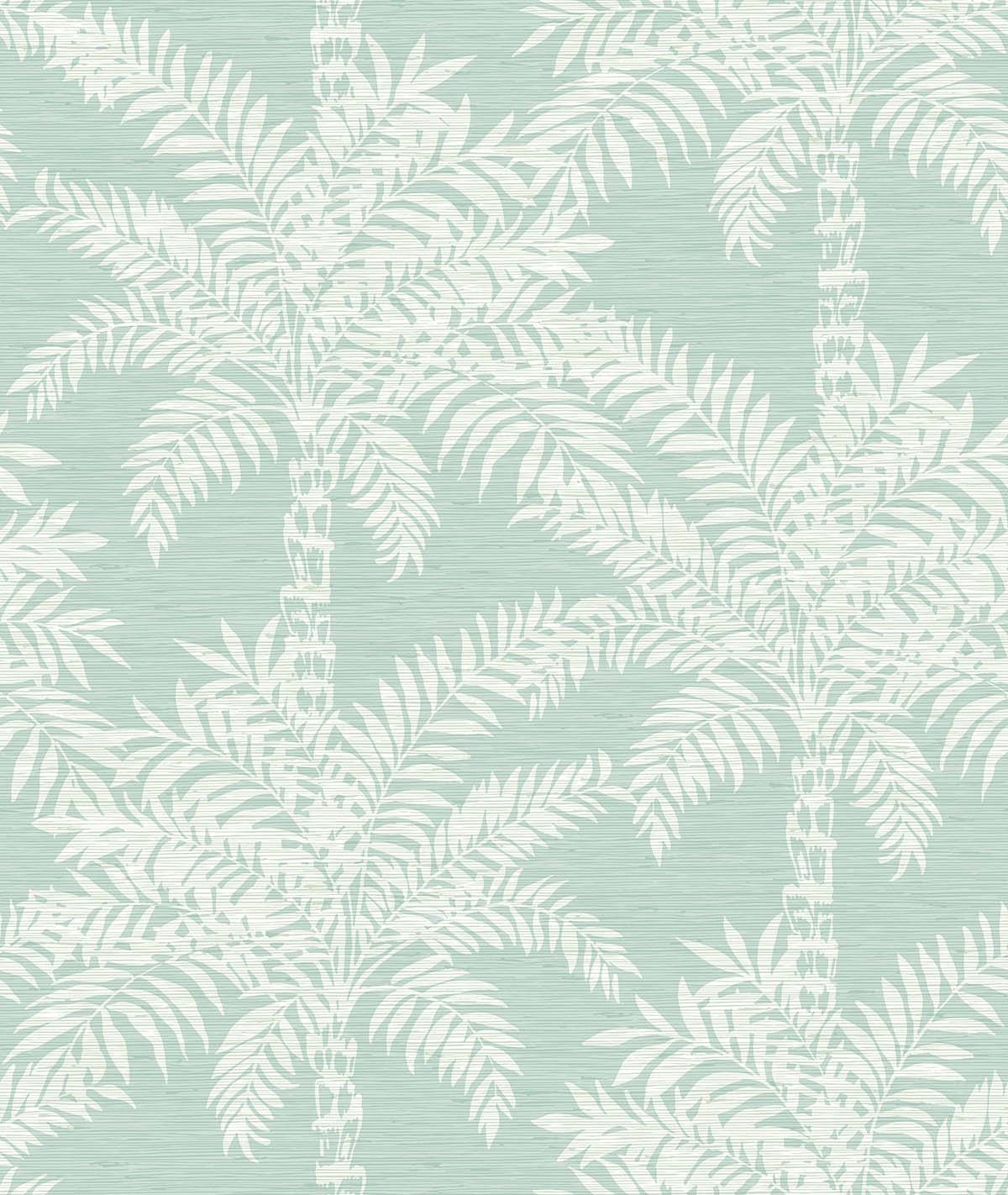 Beach Palms