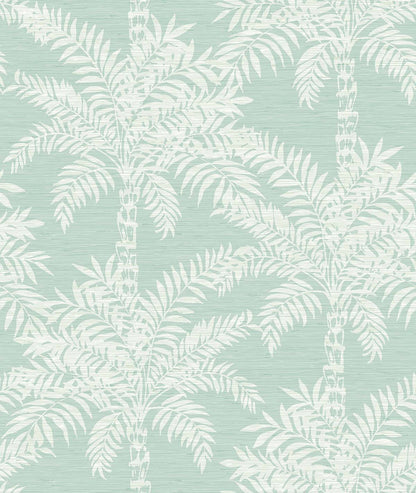 Beach Palms