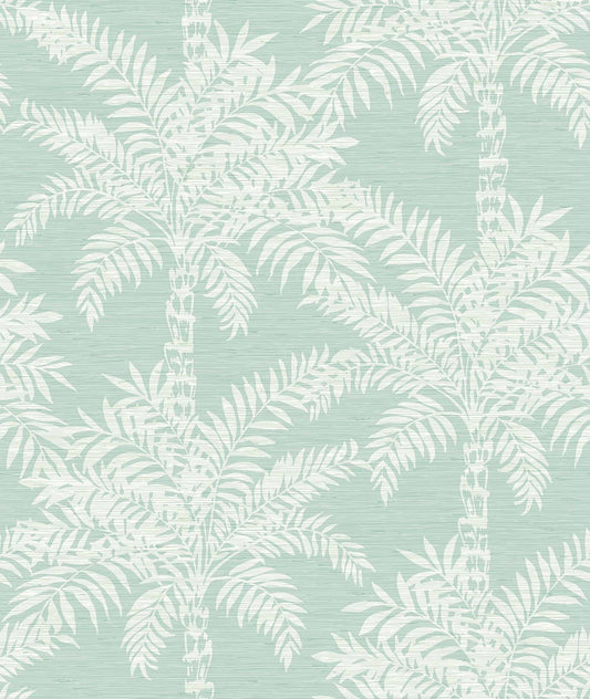 Beach Palms