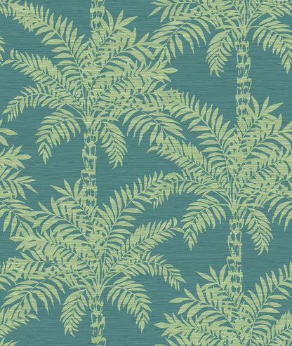 Beach Palms