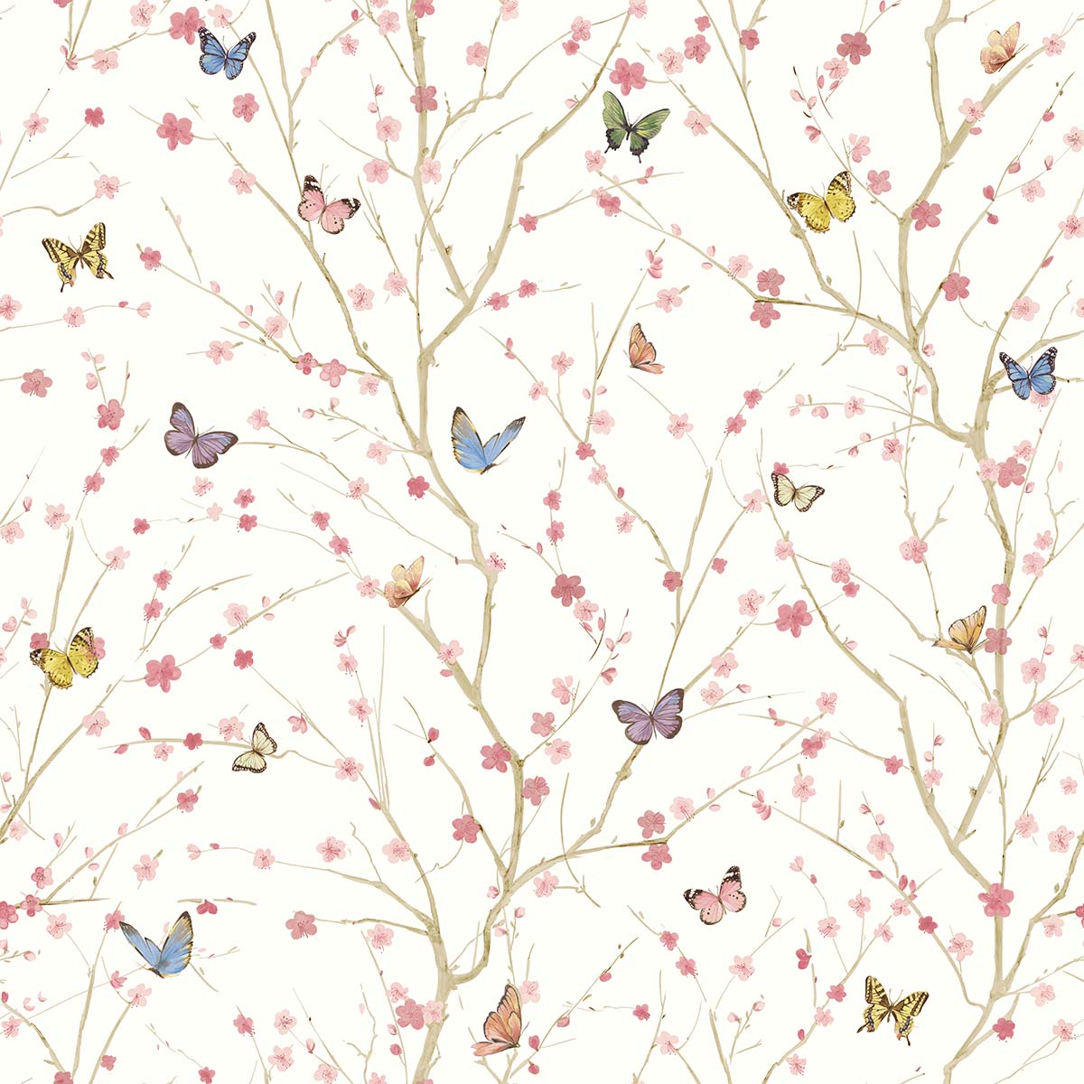 Papillon