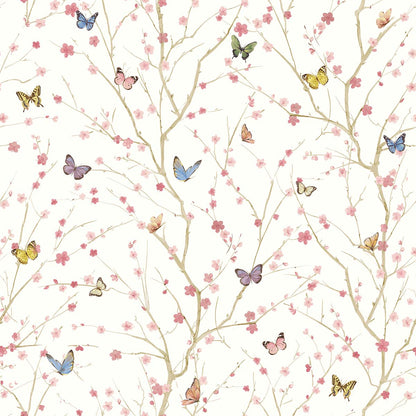 Papillon