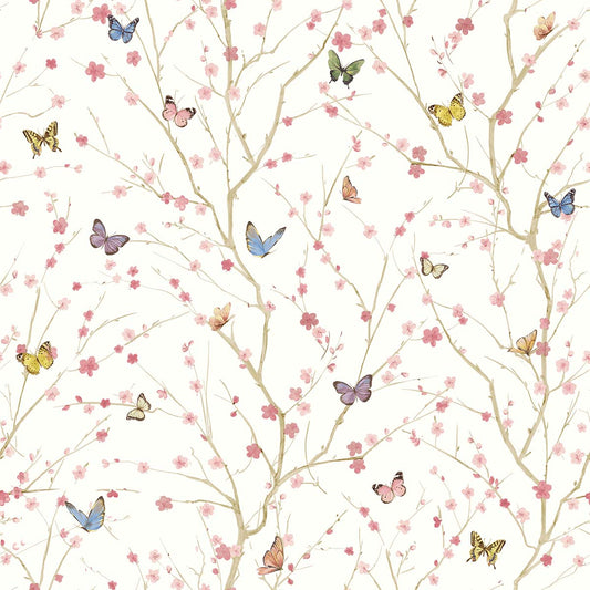 Papillon