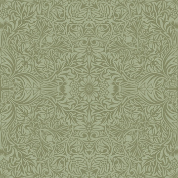 Ceiling Brown Intricate