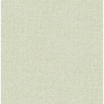 Kameez Green Texture