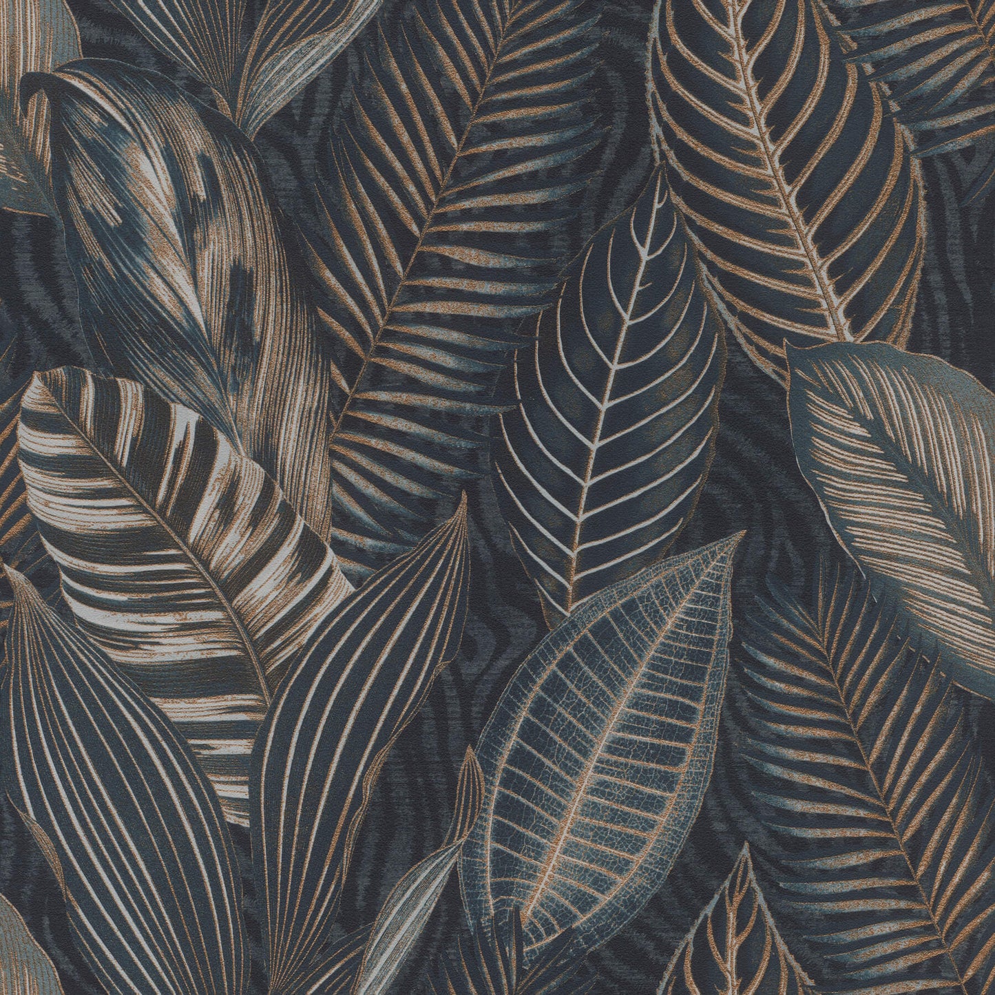 Acacius Tropical