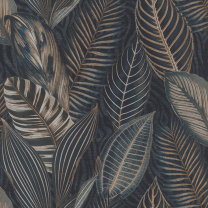 Acacius Tropical