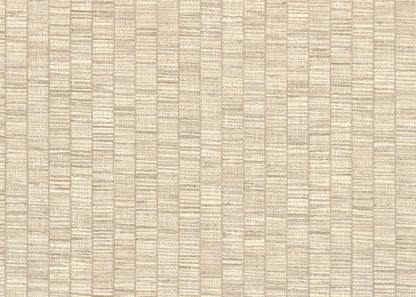 RIBBON GRASS