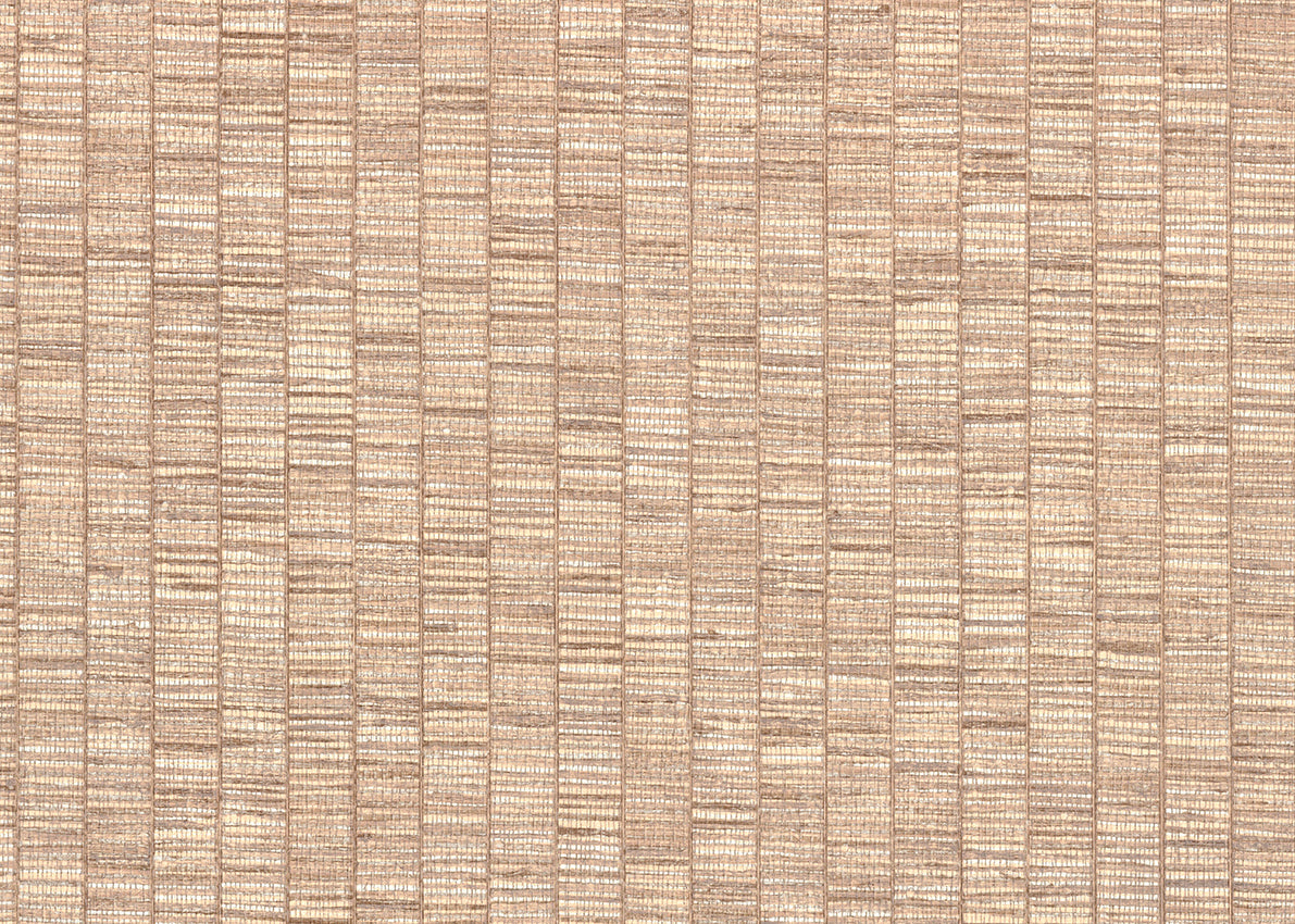 RIBBON GRASS