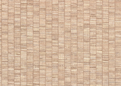 RIBBON GRASS