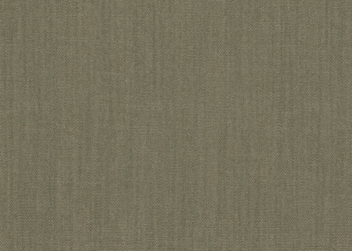 TWILL