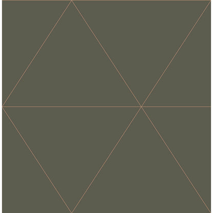 Twilight Geometric