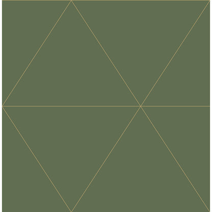 Twilight Geometric